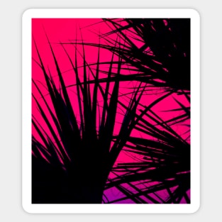 Tropical colors Sticker